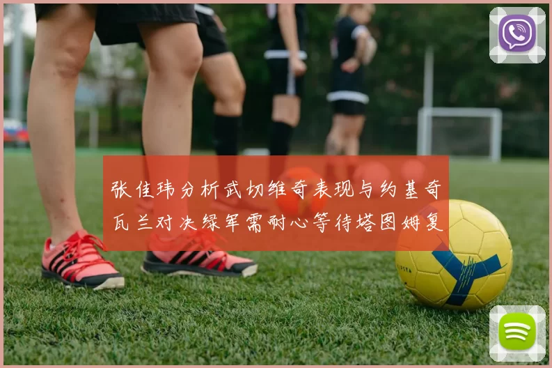 张佳玮分析武切维奇表现与约基奇瓦兰对决绿军需耐心等待塔图姆复出